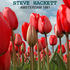 Steve Hackett - Live Theater Carre Amsterdam 31.8.81.jpg