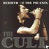 The Cult - Live Finsbury Park UK1992.jpeg
