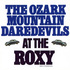 Ozark Mountain Daredevile - The Roxy, LA 75.jpg