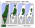 shrinking Palestine.png
