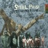 Steel Pulse - Sound System - The Island Anthology.jpg