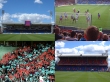 A mixture of photos taken at Selhurst Park
