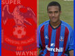 Super Wayne