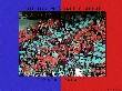 Photo of the cards event organised by The Holmesdale Online