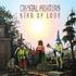 Star Of Love - Crystal Fighters.JPG