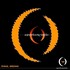 A Perfect Circle - Live Mesa AZ 99.jpg
