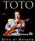 Toto - Live Bospop Festival Weert, Holland 11.7.10.jpg