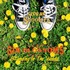 Gin Blossoms - Cleveland Ohio 92.jpg