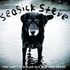 seasick steve.jpg