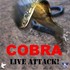 COBRA - Live Attack Memphis 83.JPG