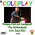 Coldplay - Pinkpop 2011.jpg