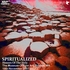 Spiritualized - Boston MA 19.11.07.JPG