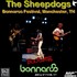 The Sheepdogs - Bonnaroo Festival 2011.jpg