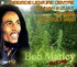 bob marley - connahs quay 12.7.80.JPG