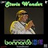 Stevie Wonder - Bonnaroo Festival, Manchester TN 10.jpg