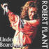 Robert Plant - Sheffield 1999.jpg