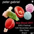 Peter Gabriel - SWU Festival, Sao Paulo 13.11.11.jpg