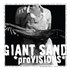 Giant Sand - Provisions.jpg