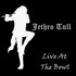 Jethro Tull - Milton Keynes Bowl 86.jpg