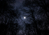 DSC_3103.jpg