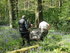 2012_0506The Bluebell competition.JPG