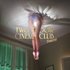 Two Door Cinema Club - Beacon.jpg