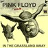 Pink Floyd - In The Grassland Away - MSG NY 77.jpg
