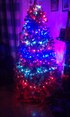 Christmas tree.jpg