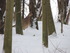 DSCN1203.JPG