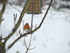 DSCN1209.JPG