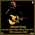 David Gray - Joes Pub NY 01.jpg
