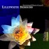 Dave Matthews Band - Lillywhite Sessions (Unreleased Album).jpg