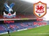 Palace V Cardiff City.jpg