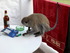 KENYA 2013-14 723.JPG