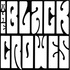 The Black Crowes - Arrington VA 8.9.13.jpg