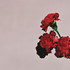 John Legend - Love in the Future.jpg