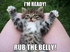 SetWidth550-Im-ready-Rub-the-belly.jpg