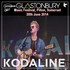 kodaline - glastonbury 2014.jpg