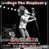 Cage The Elephant - Lollapalooza Chicago 2014.jpg
