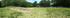 allotment panoramic.JPG