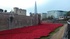 IMAG0050.jpg