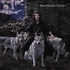 steve hackett - wolflight.jpg