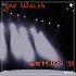 Joe Walsh - Wiltern Theatre, Los Angeles, CA 1991.jpg