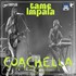tame impala - coachella music & Arts festival indio ca 10.4.15.jpg