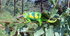 DSCF9813.JPG