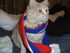 DSCF2882.JPG