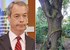 2361ED2700000578-0-A_little_bit_barking_Luckily_this_Farage_of_forest_is_not_an_E_Y-14_1416606761347.jpg