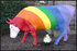 rainbow-cow.jpg