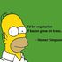Homer the vegetarian.jpg