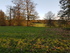 lloyds park nov.2017.jpg